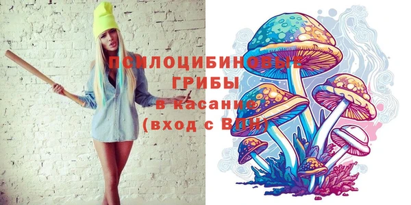 гидропоника Лагань