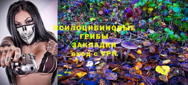 прущая мука Абаза