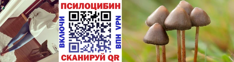 мега как зайти  Подольск  Псилоцибиновые грибы прущие грибы 