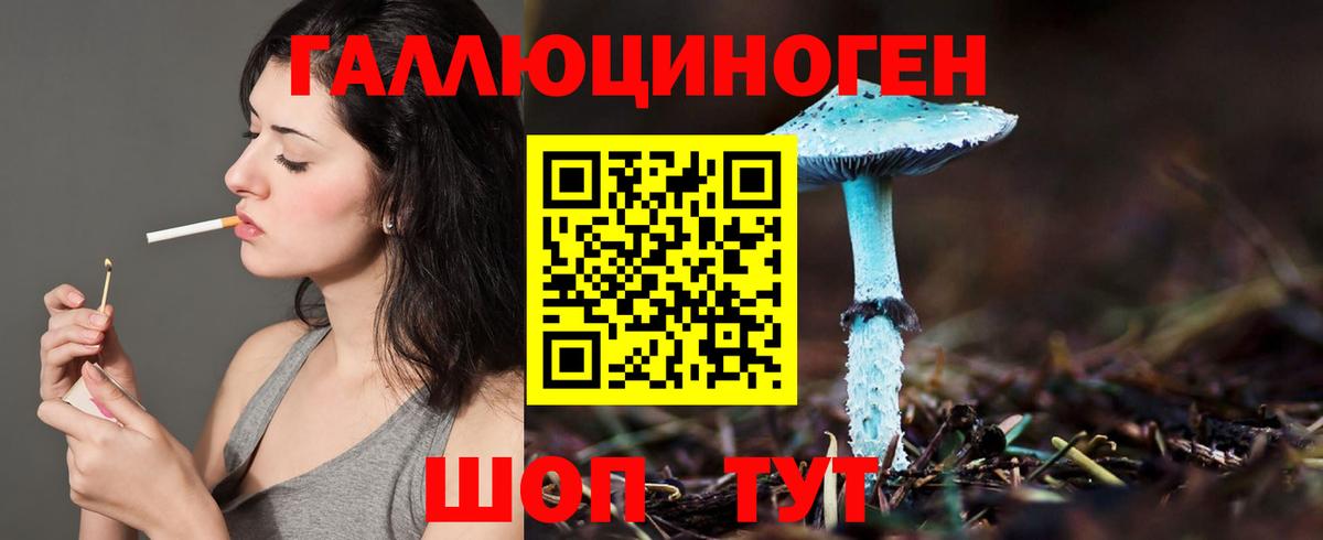Подольск  Псилоцибиновые грибы Psilocybine cubensis  Галлюциногенные грибы прущие грибы  Вход с VPN 