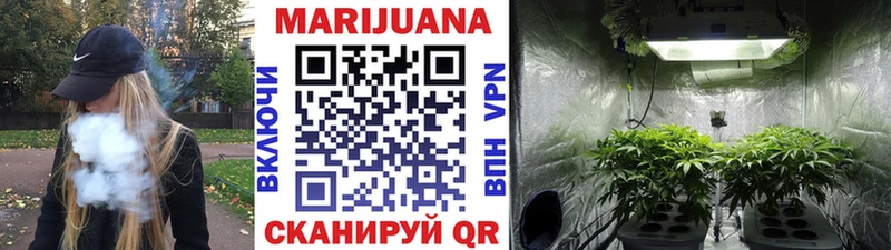 Бошки Шишки Amnesia Подольск